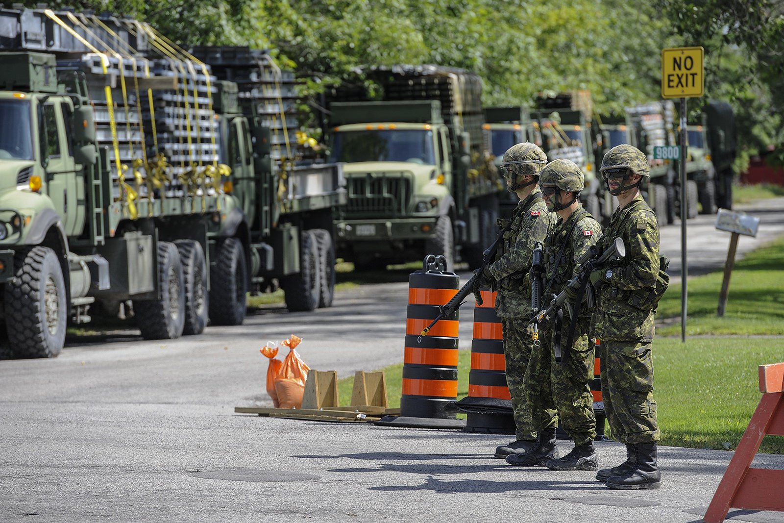 Image of Canadian Army Trucks lined up