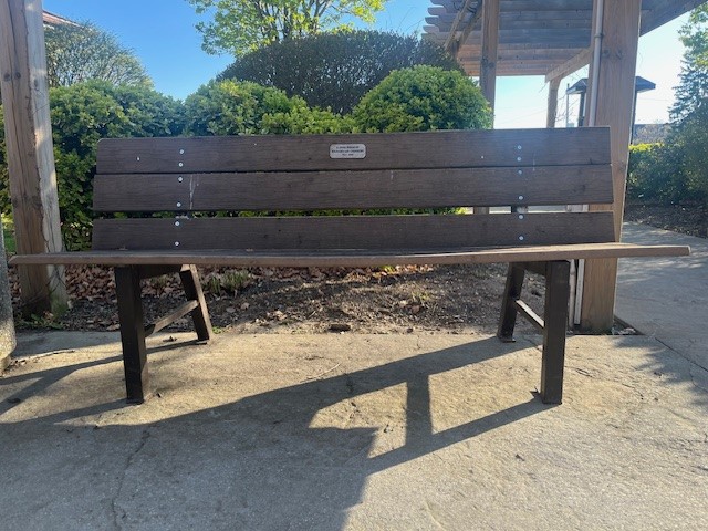 Memorial Bench